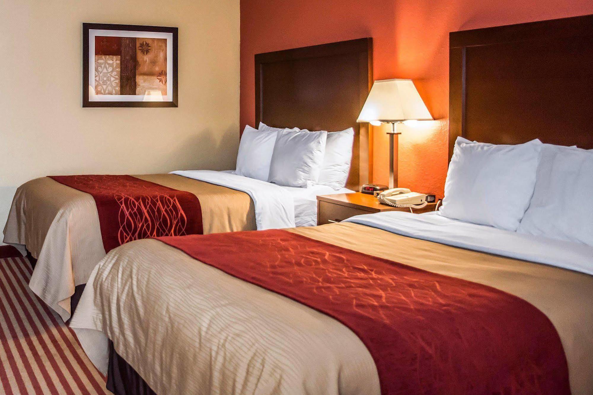 Comfort Inn & Suites Cincinnati Eastgate מראה חיצוני תמונה